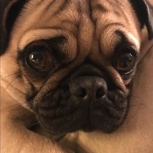 Meet your Posher, Traci