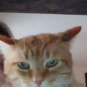 Meet your Posher, Barbara