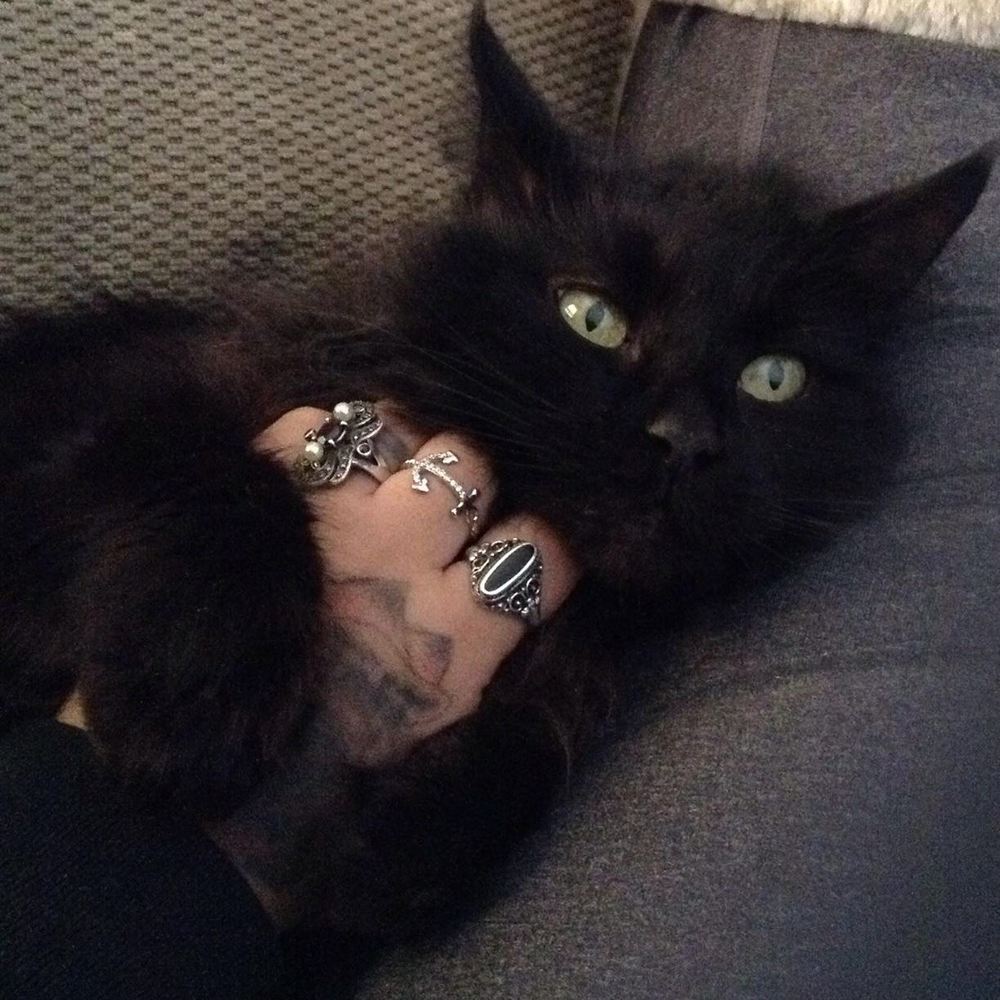 Meet your Posher, Kymberly