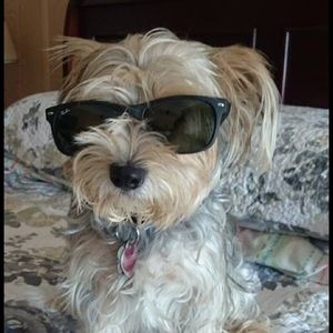 Meet your Posher, Fabian