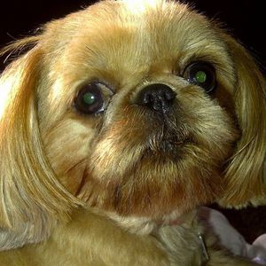 Meet your Posher, Marcia