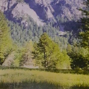 Meet your Posher, Ritza