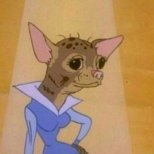 Meet your Posher, Cindy