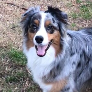 Meet your Posher, Kelsey