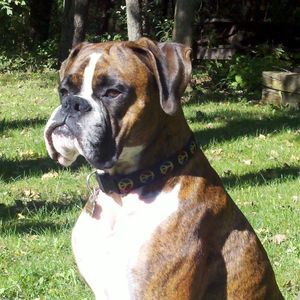 Meet your Posher, Lynne-john