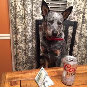 Meet your Posher, Aaron