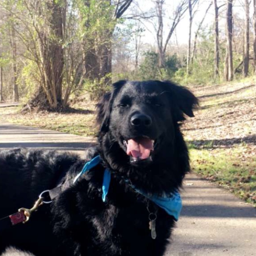 Meet your Posher, Sheri