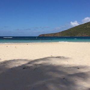 Meet your Posher, Aileen