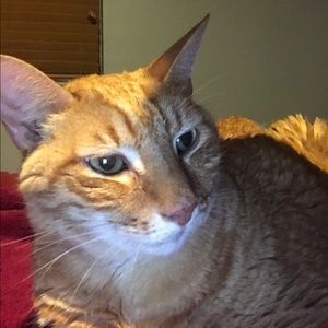 Meet your Posher, Dane