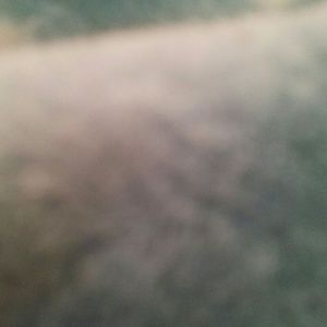 Meet your Posher, Bridgette