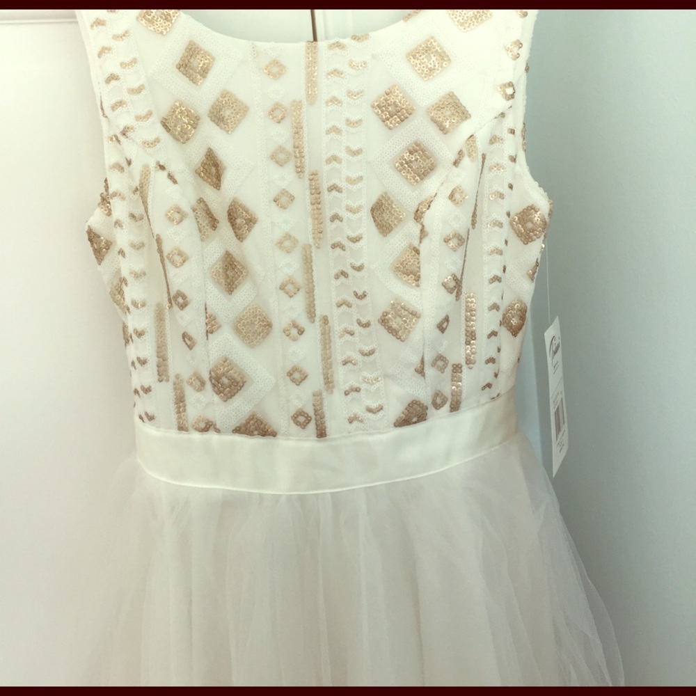 NWT White+Matte Gold Princess Dress