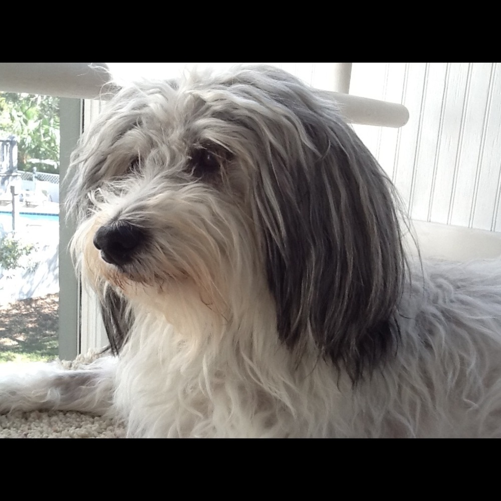 Meet your Posher, Liz