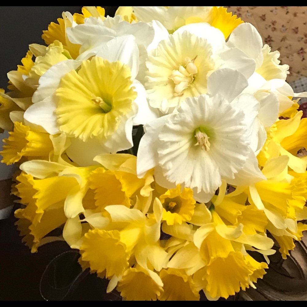 Spring Sale/
