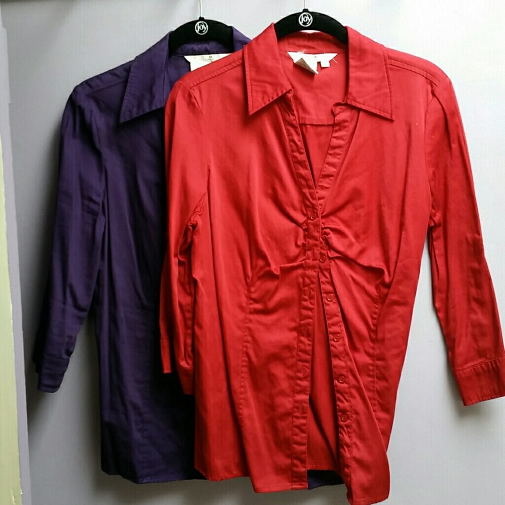2 of same blouse, different color only.