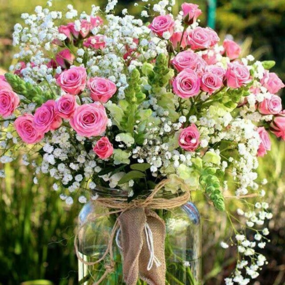 Meet your Posher, Susan