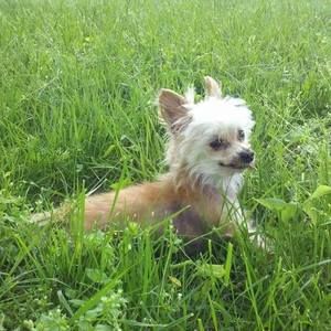 Meet your Posher, Tracy