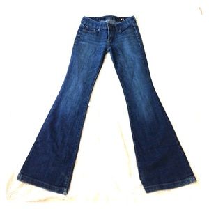 Express X2 Fit and Flare Jeans