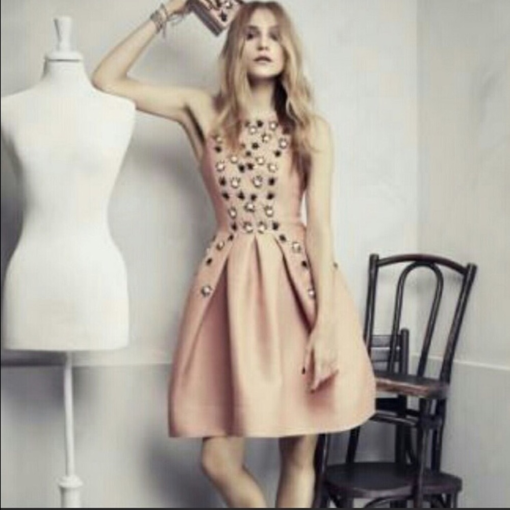 🌸H&M fit & flare dress with Embroidery🌸