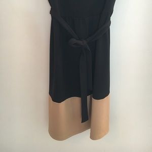 Black & Tan Ann Taylor Factory Dress
