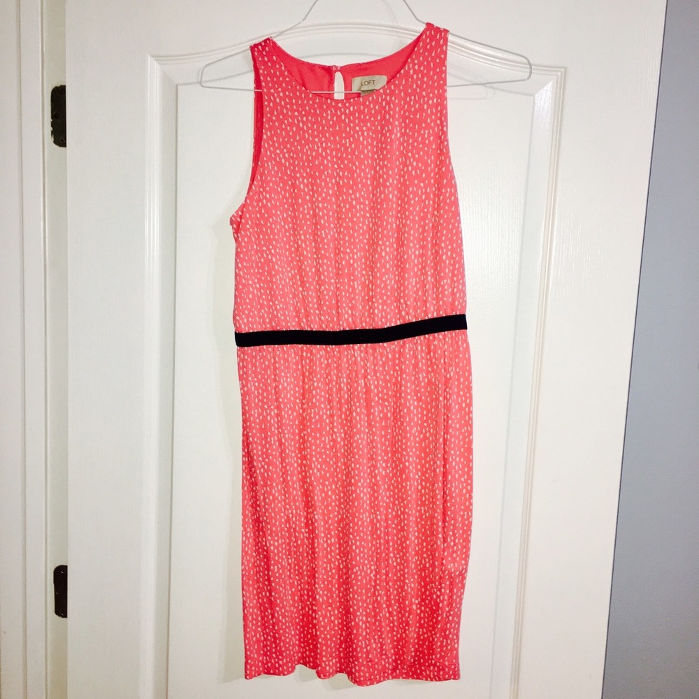 Loft Small Pink Dress