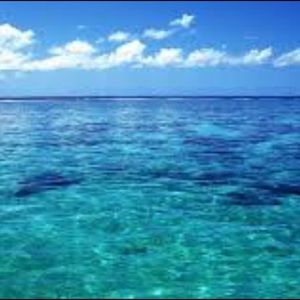 Meet your Posher, Jade