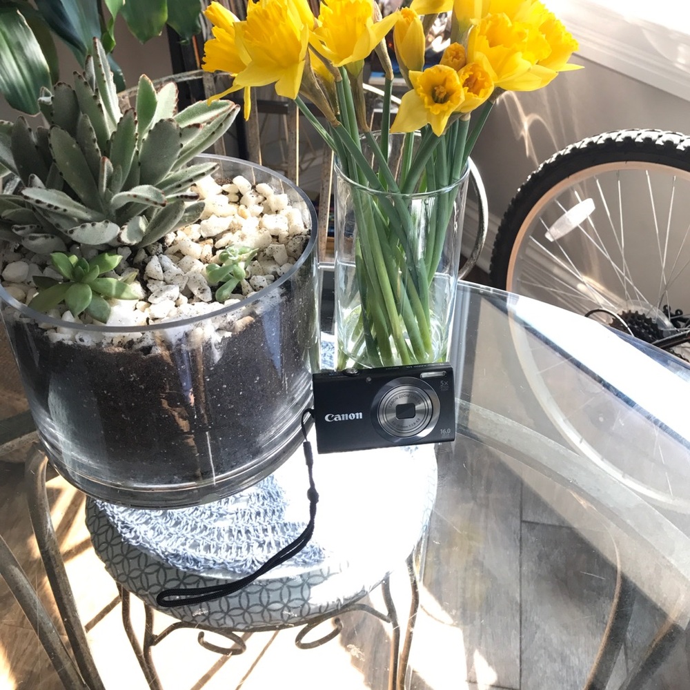 Canon PowerShot A2300 Camera