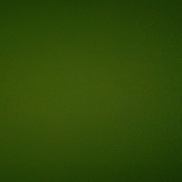 Meet your Posher, Coretta - Picture 1 of 1