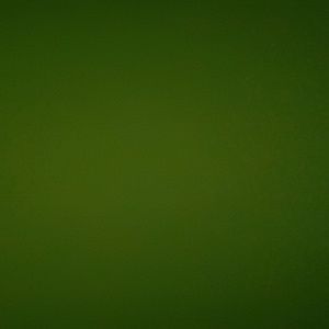 Meet your Posher, Coretta