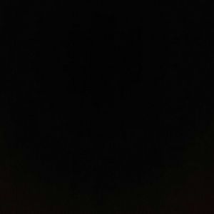 Meet your Posher, Patsy