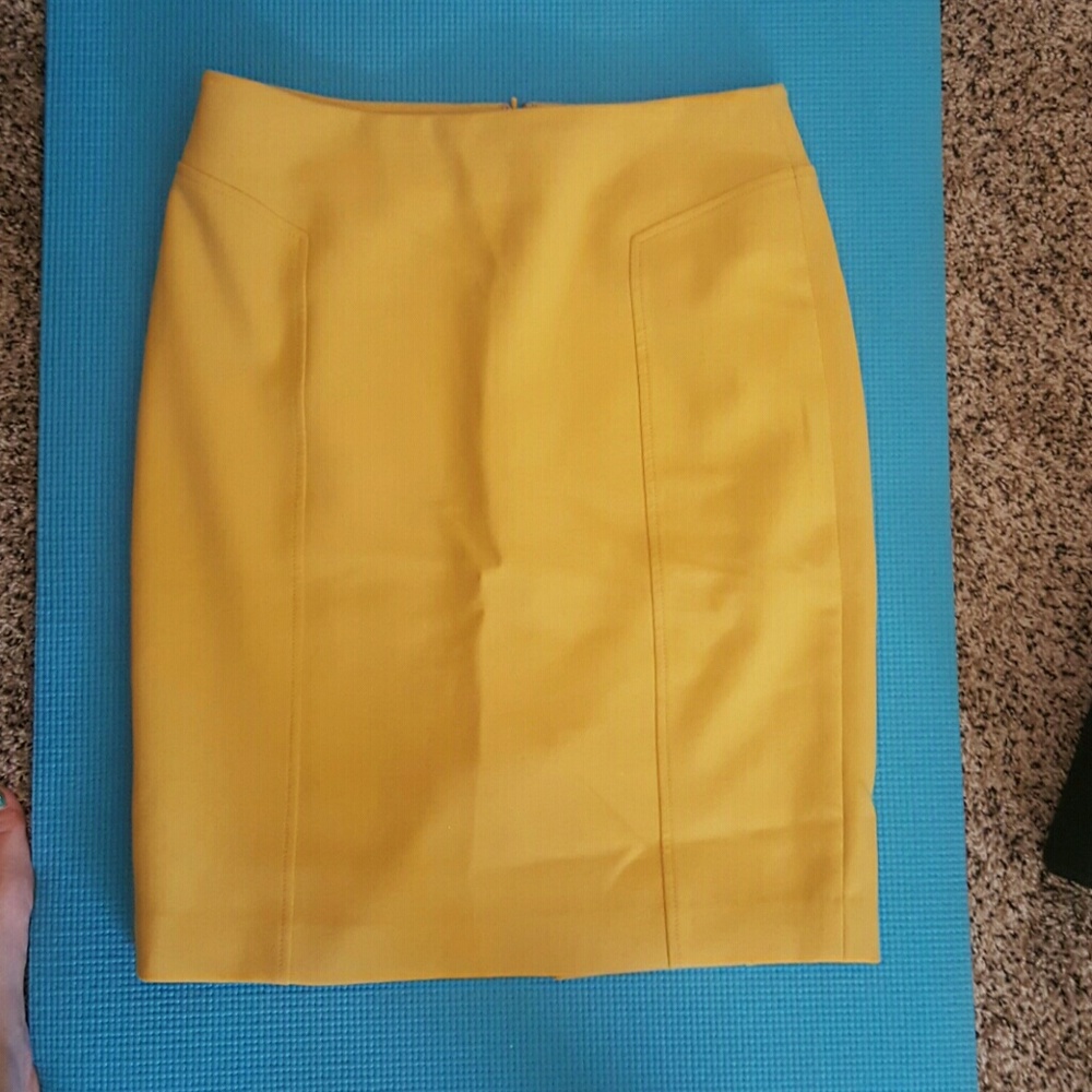 Back zip lined skirt