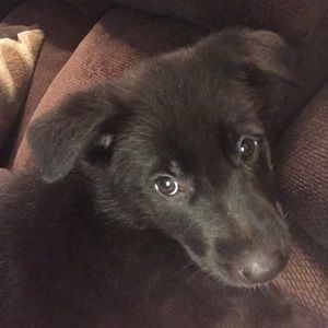 Meet your Posher, Natasha