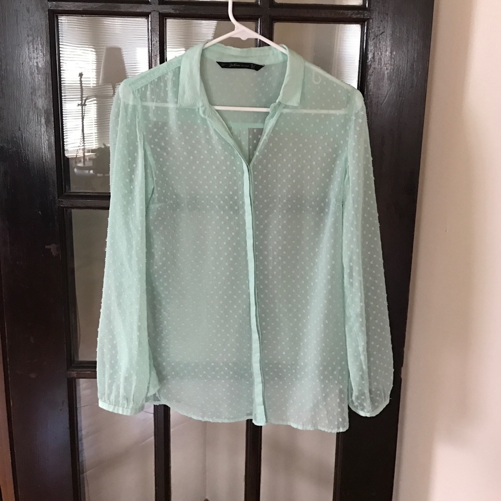Zara Swiss dot sheer top