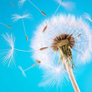 Meet your Posher, Misty