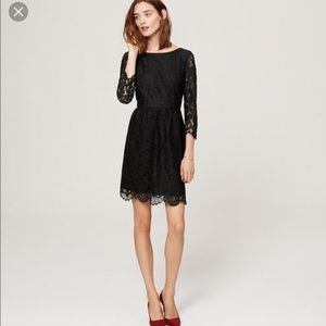 LOFT Scallop Lace Dress