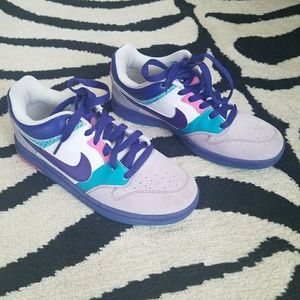 Big Kid's Nike Dunks 6.0
