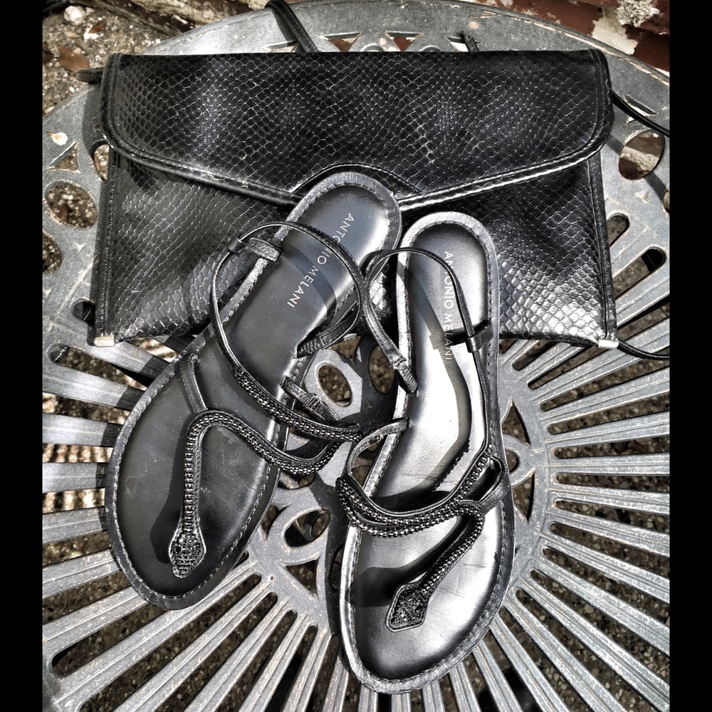 Snake Flats & Bag