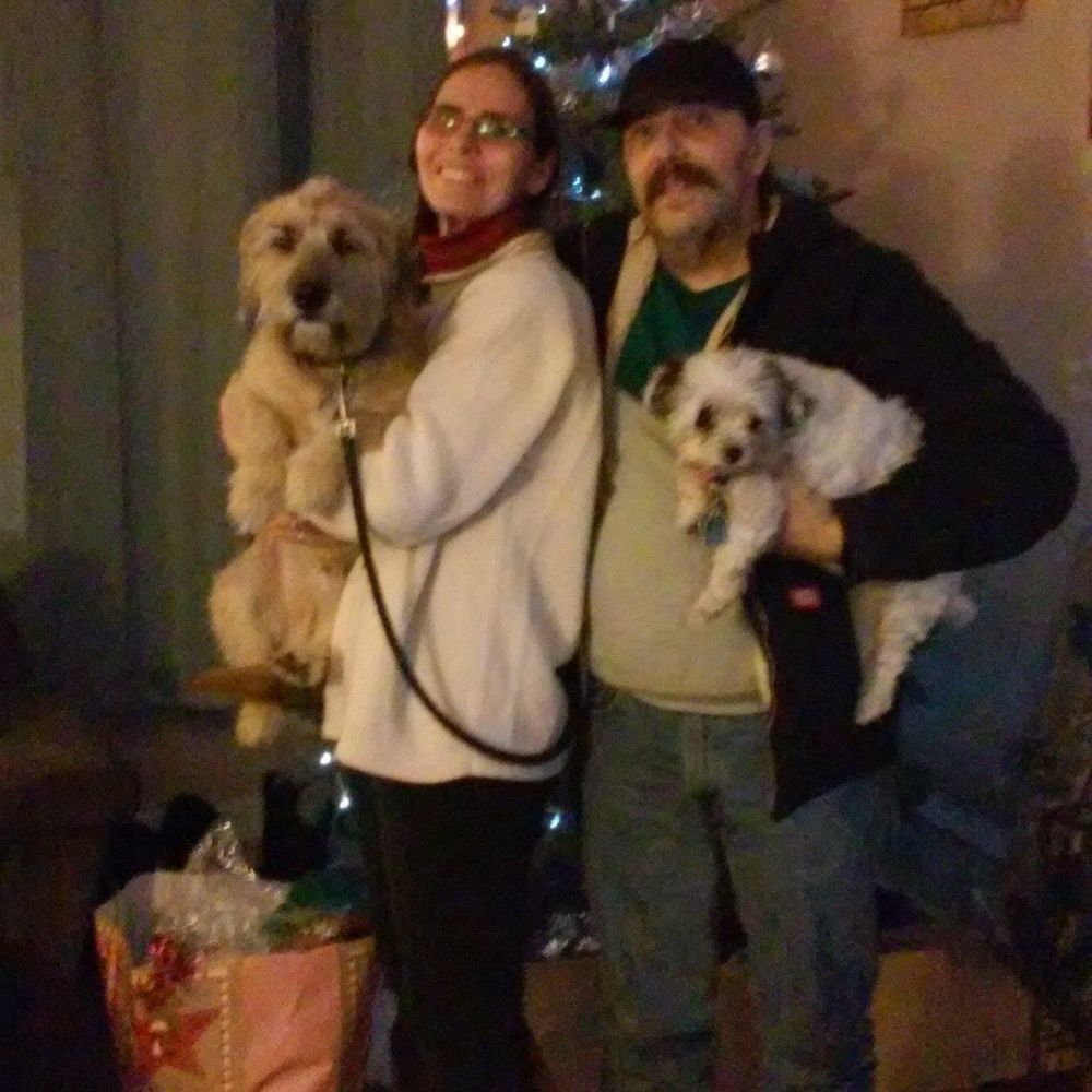 Meet your Posher, Hayley