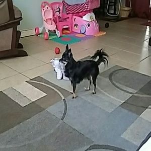 Meet your Posher, Robbie