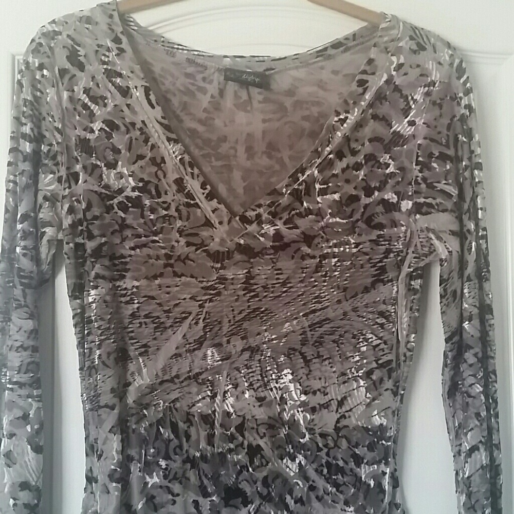 Fitted Semi-Sheer Top