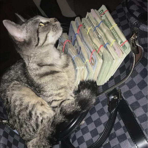 Meet your Posher, Brandon - Picture 2 of 3