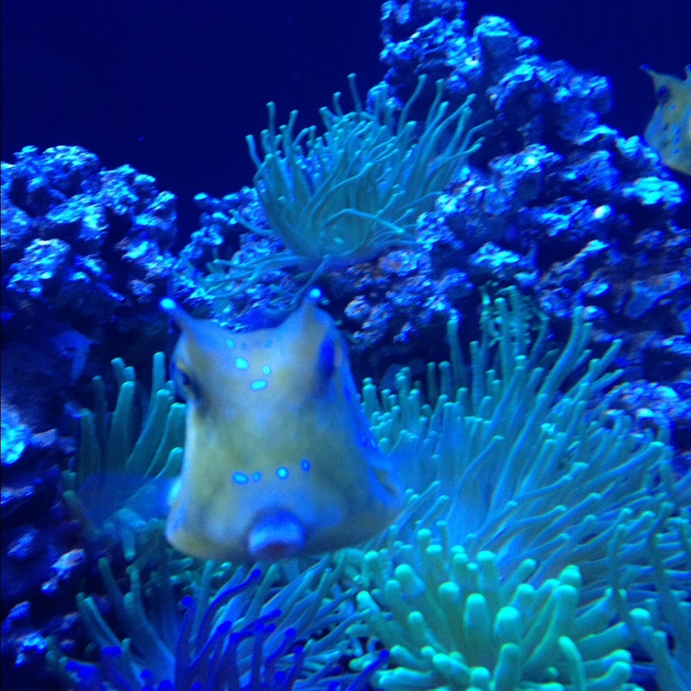 Meet your Posher, Crystal