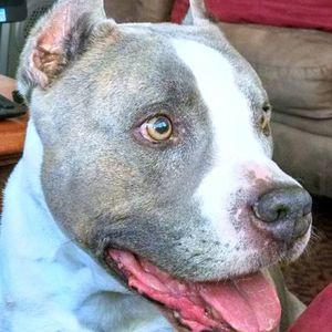 Meet your Posher, Jan