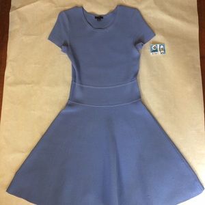 Ann Taylor Light Blue Circle Skirt Dress!