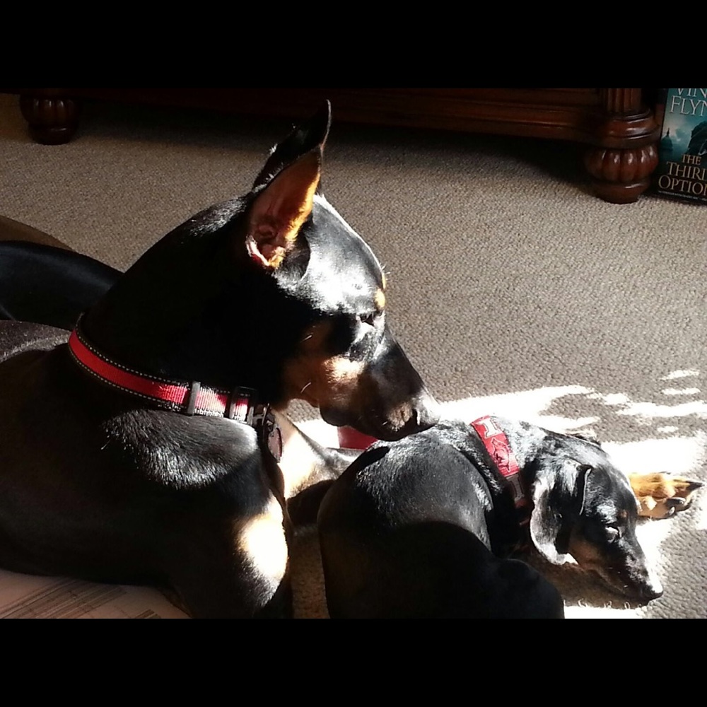 Meet your Posher, Larita