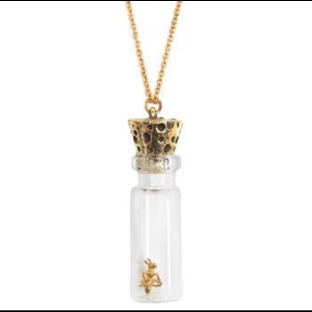 Modlcoth Ench-ant-ed Bottle Necklace