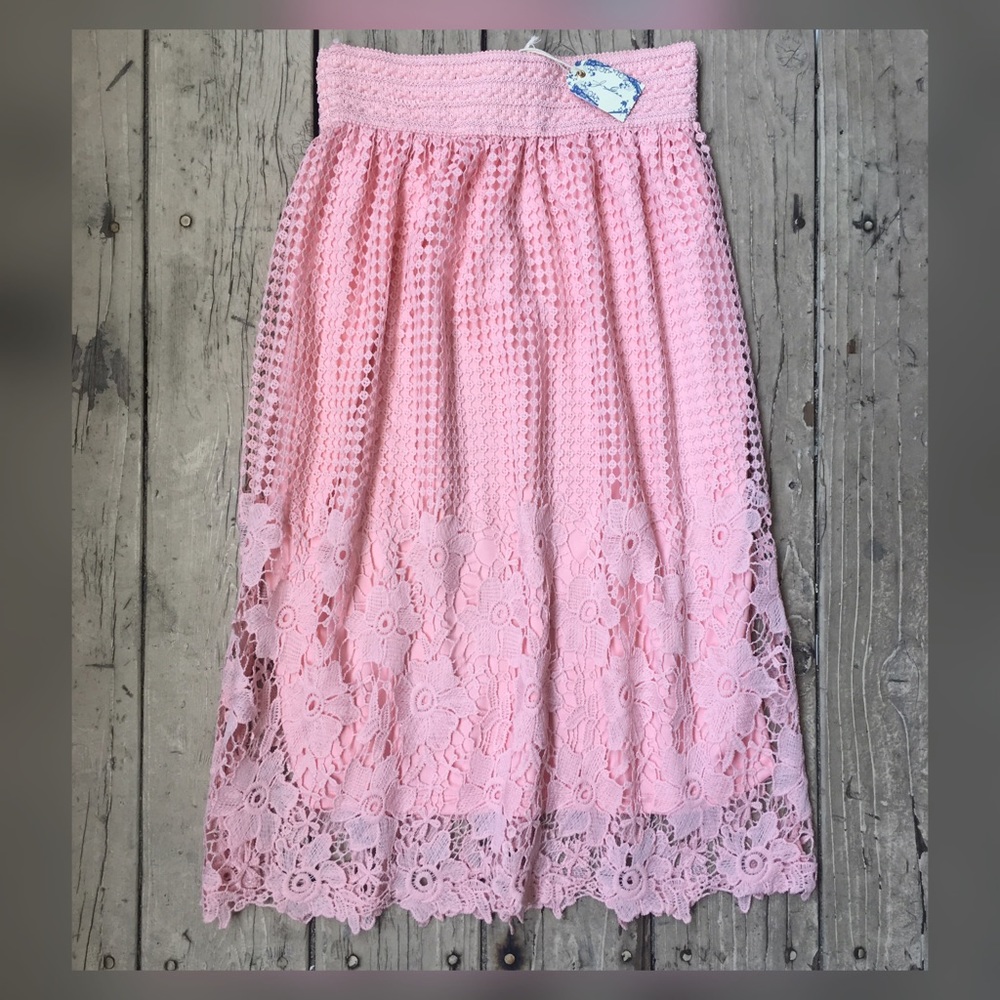 Blush Lace Skirt (NWT's) Size S - Floral Lace