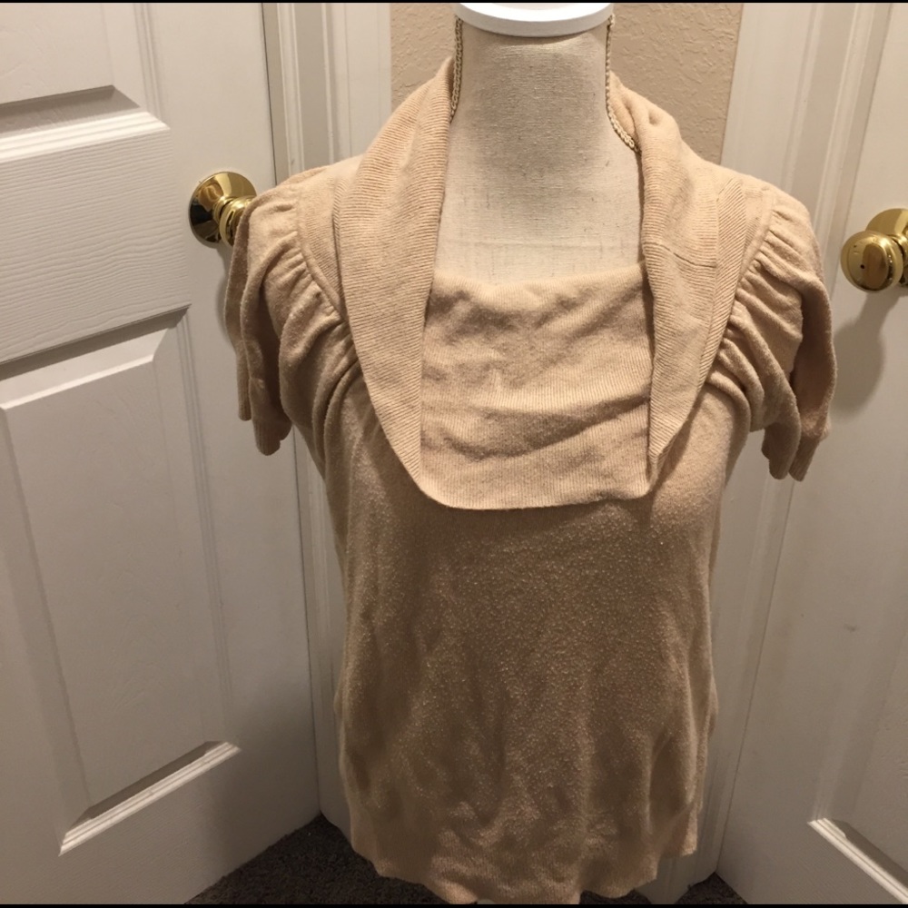 BCBGMAXAZRIA Tan Sweater