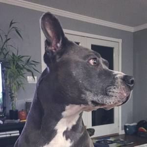 Meet your Posher, Erika