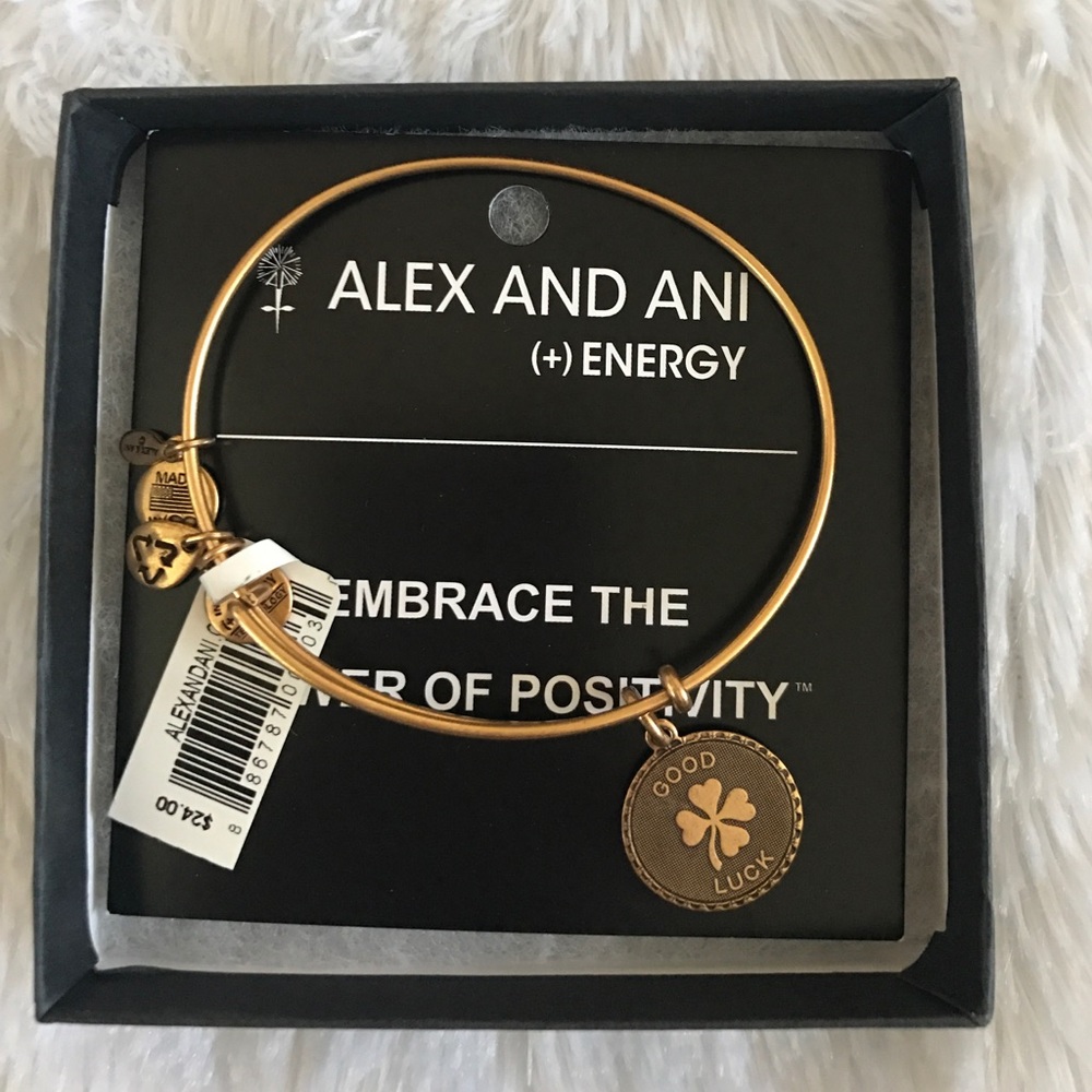 Alex and Ani Good luck Charm
