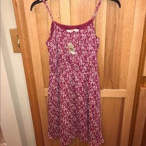Ann Taylor Loft Dress